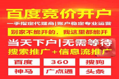 百度推广操作指南：案例解析